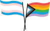 YWHO Pride Flag